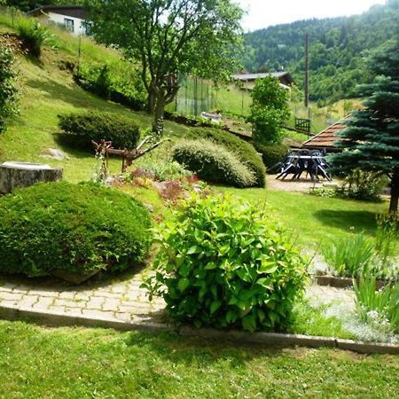 Gîte La Bresse, 3 pièces, 4 personnes - FR-1-589-189 Extérieur photo