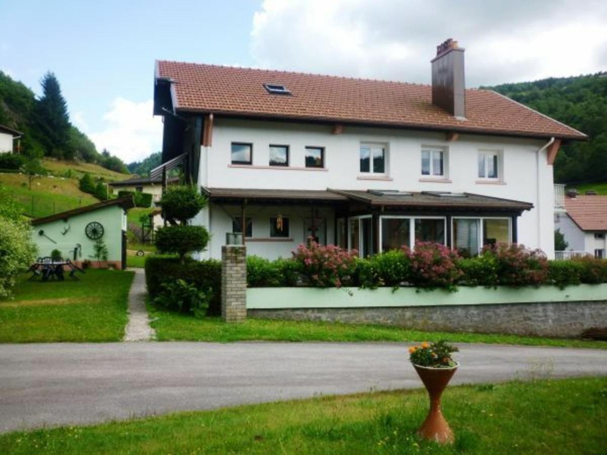 Gîte La Bresse, 3 pièces, 4 personnes - FR-1-589-189 Extérieur photo