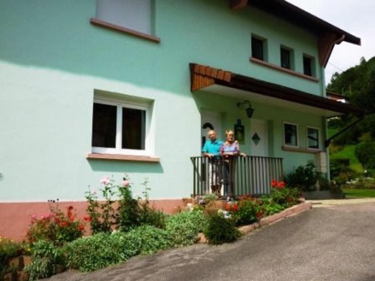 Gîte La Bresse, 3 pièces, 4 personnes - FR-1-589-189 Extérieur photo
